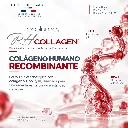 03 RH COLLAGEN INNOVACIÓN DE PRODUCTO.webp